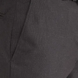 Park Avenue Brown Regular Fit Texture Trousers image 5