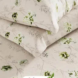 Bianca Monkler Cream Cotton Floral 210 TC King Bedsheet with 2 Pillow Covers image 5