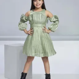Peppermint Kids Green Polyester Flared Fit 1 Dress-picture-17