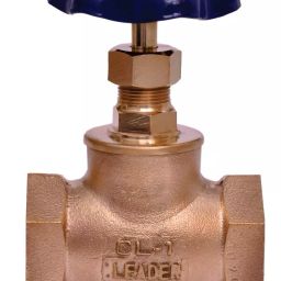 Leader Gun Metal Globe Valve 25 mm 1.5 Mpa (217.5 psig) Isi To Is 778-picture-44