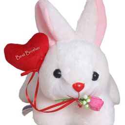 Tickles Rabbit Best Brother Heart Soft Stuffed Plush Animal Toy for Boys & Girls (Color: White Size: Length 26 cm)-picture-33