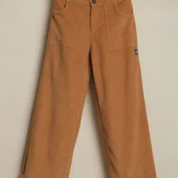 Allen Solly Boys Brown Cotton Regular Fit Trousers-image-60
