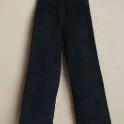 Allen Solly Boys Navy Cotton Regular Fit Trousers image 2