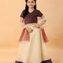 MASTARANG Velvet Woven Half Sleeves Abstract Embroidered Lehenga Choli With Dupatta Set - Maroon-picture-17