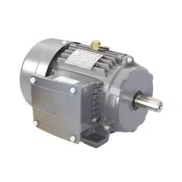 LHP Three Phase 2 HP 6 Pole Flange Mounted Induction Motor image 3