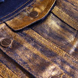 arias by lara dutta Arias Woven Full Sleeves Collar Neck Denim Jacket With Metallic Colour Detailing - Blue image 4