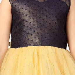 YK Net Girls Fit & Flare Dress image 3