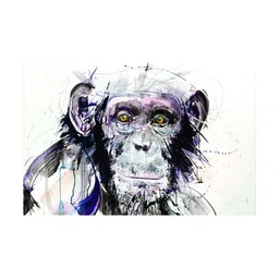 Inephos Grey & Pink 1 Piece Monkey Wildlife Birds and Animals Canvas Wall Art-image-32