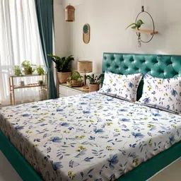 Ackross Off White & Blue Floral 104 TC Queen Bedsheet 2.25 m x 2.54 m-picture-37
