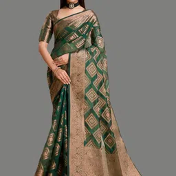 SILKWEAR Woven Design Organza Banarasi Saree-picture-29