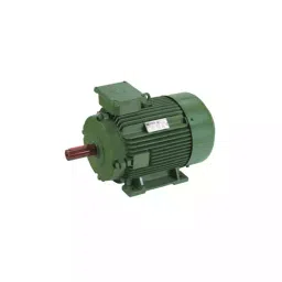 Hindustan Electric Motors Three Phase 25HP 4 Pole Foot Mounted Induction Motor 2HC2 166-0403-picture-22