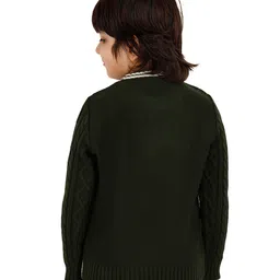 JoE Hazel Full Sleeves Baby Dinosaur & Cable Design Detailed Acrylic Pullover - Olive Green image 3