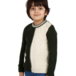 JoE Hazel Full Sleeves Baby Dinosaur & Cable Design Detailed Acrylic Pullover - Olive Green image 5