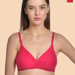 Aimly Bra Women's Cotton Non-Padded Regular Bra Pack of 2-picture-10