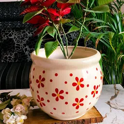 NIYARA Red & White Printed Ceramic Round Planter image 2