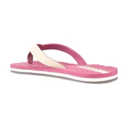 Campus Women's Beige Flip Flops image 5