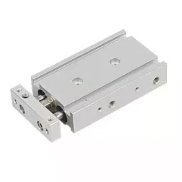 JELPC 20 mmx20 mm  TN Twin Rod Magnetic Cylinder-picture-38