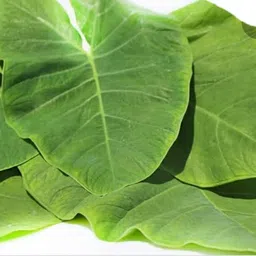 Fresh Organic Colocasia Leaf, 10 Pcs image 3