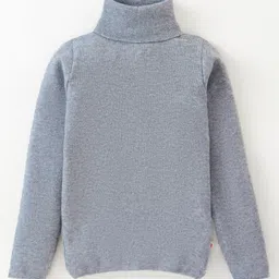 Yellow Apple Viscose Knit Full Sleeves Turtle Neck Solid Colour Winter T-Shirt - Grey-picture-14