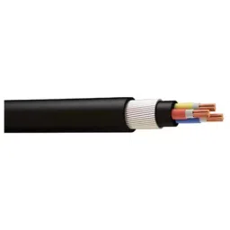 Polycab 25 Sq.mm 2 Core Armoured Outersheathed FRLS Fire Survival Cable Black (1 m) image 1