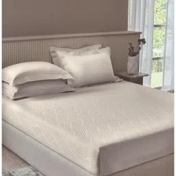 SANSAAR A D'DECOR BRAND LIVE CONSCIOUSLY Turtle Dove King Bedsheet with 2 Pillow Covers-image-68