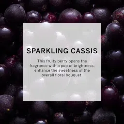 Victoria's Secret Bombshell Passion Body Lotion image 4