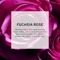 Victoria's Secret Bombshell Passion Body Lotion image 5