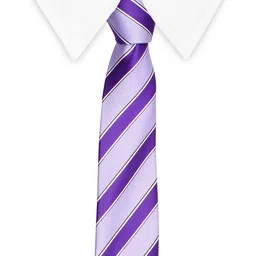 Tossido Purple Striped Broad Tie image 4