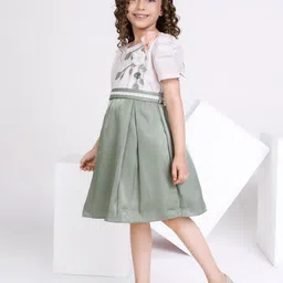 Peppermint A-Line Dress image 4