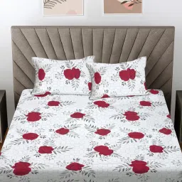 FABINALIV White Floral 300 Tc 100% Cotton King Size Double Bedsheet With 2 Pillow Covers-picture-26