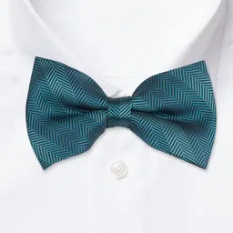 The Tie Hub Men Striped Microfiber Bow Tie image 2