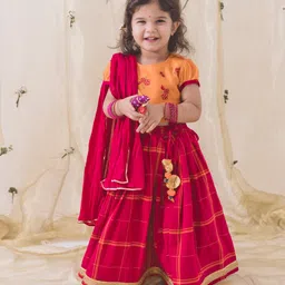Tiber Taber Half Sleeves Floral Embroidered & Checked Lehenga Choli With Dupatta - Pink-picture-26