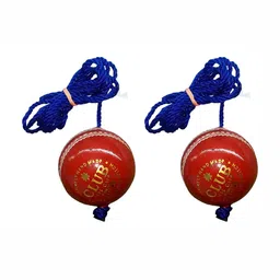 HackerX Pebble Trainy Knocking Sports Cricket Ball-picture-13