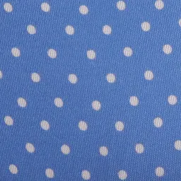 Clovia Blue Printed Bikini Panty image 3