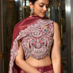 Vanshaft Collection Embroidered Silk Zari Ready to Wear Lehenga & Blouse With Dupatta image 2