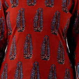 Moda Rapido Print Mandarin Collar Cotton Top image 2