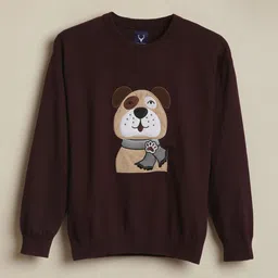Allen Solly Junior Boys Graphic Printed Pullover-image-0