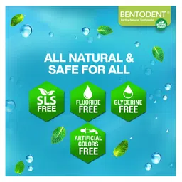 Bentodent Earthy Natural Toothpaste Premium Mint Pack of 2 - 200 gm image 3