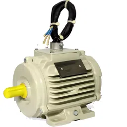 CG Power Three Phase 2 HP 2 Pole Foot Mounting IE2 Squirrel Cage Induction Motor, NS90S-image-81