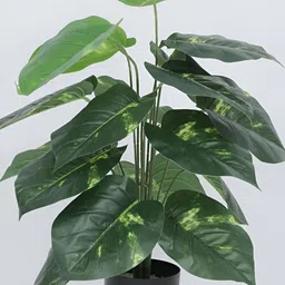 Home Bloom Green & Black Artificial Photos Plant With Pot image 4