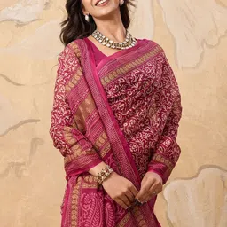 SHANVIKA Ethnic Motifs Pure Cotton Handloom Saree image 5