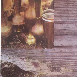 Aura 6Pcs Brown & Beige Printed Table Placemats image 3