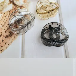 DIVASTRI Women Set of 5 Transparent & Tinted Oval Hair Claw Clips image 2