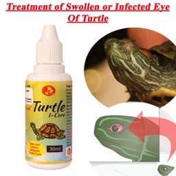 Pet Care International (PCI) Turtle i-Care Eye Drop for Swollen, Inflamed and Infected Eye Care of Healthy Turtle Healthcare (30ml) image 2