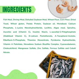 taiyo pluss discovery Taiyo Pluss Discovery® Premium Turtle Food - 250 g Money Saver Refill Pouch Pack | Daily Nutrition Sticks with Spirulina and Stabilised Vitamin C for Turtles image 3