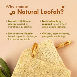 Nat Habit - Back To Natural Secrets Everyday Natural Sun Dried Bath Loofah | Body Sponge & Scrubber for Men & Women | Organic Luffa for Bath Shower Skin Exfoliation (Pack of 3) image 3