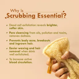 Nat Habit - Back To Natural Secrets Everyday Natural Sun Dried Bath Loofah | Body Sponge & Scrubber for Men & Women | Organic Luffa for Bath Shower Skin Exfoliation (Pack of 3) image 2