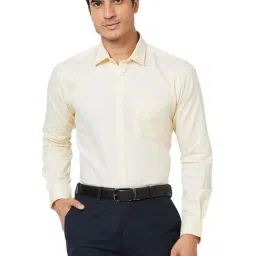 Park Avenue Yellow Slim Fit Striped Shirt-picture-18