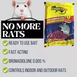 MOOSHKILL 100 g Powerfull Rat Killer Granule (Pack of 2) image 2