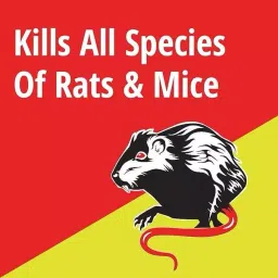 MOOSHKILL 100 g Powerfull Rat Killer Granule (Pack of 2) image 3